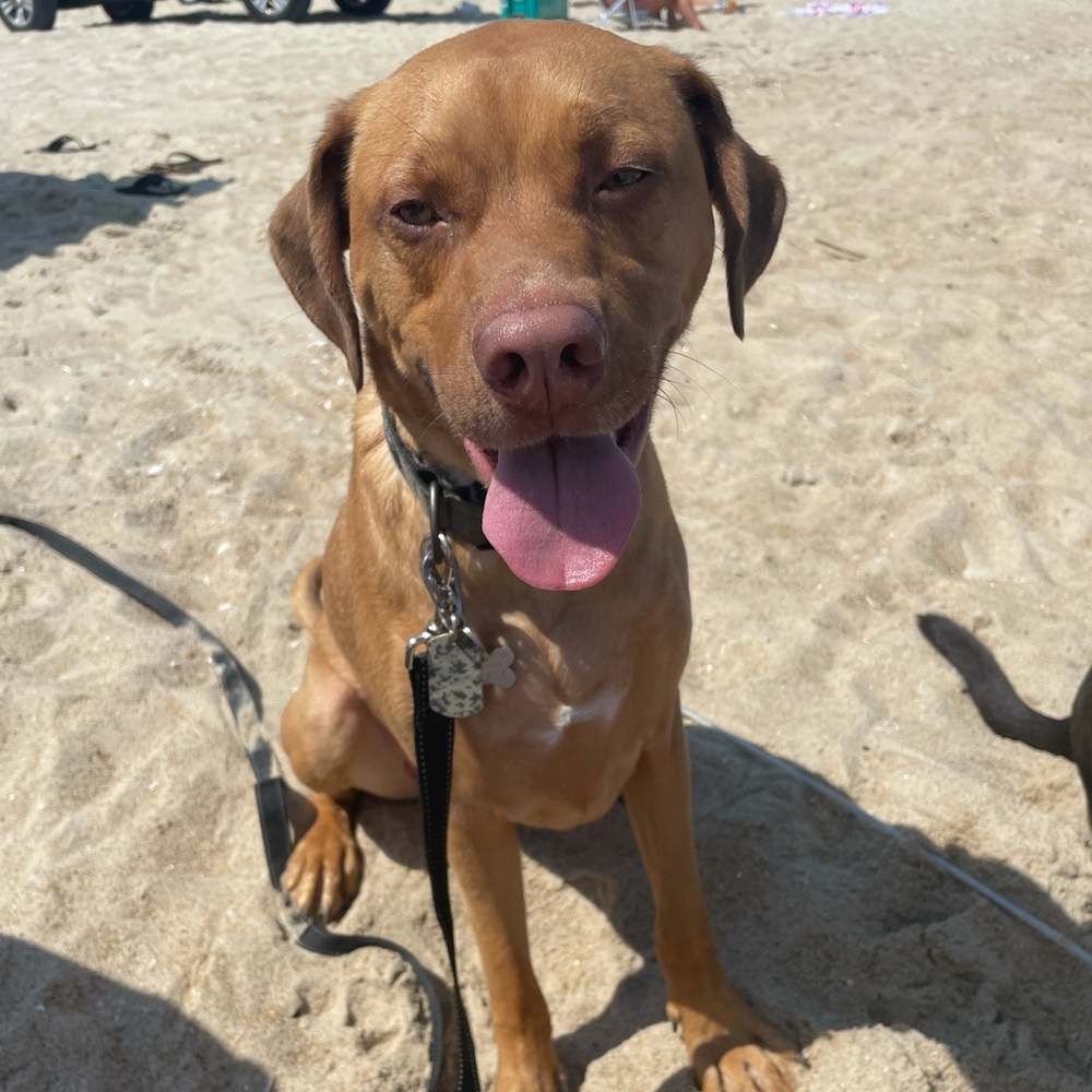 Meet your Posher, Jenny